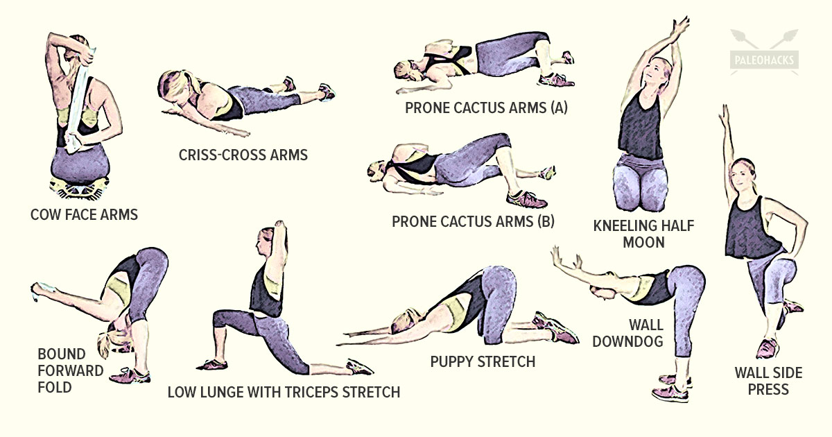 Arm stretches  Warm up with our stretches for triceps & deltoids